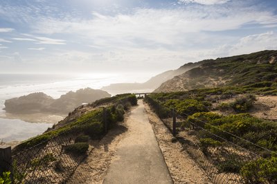 Portsea Back Beach
